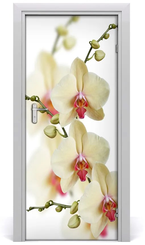 Samolepiace fototapety na dvere orchidea 75x205 cm