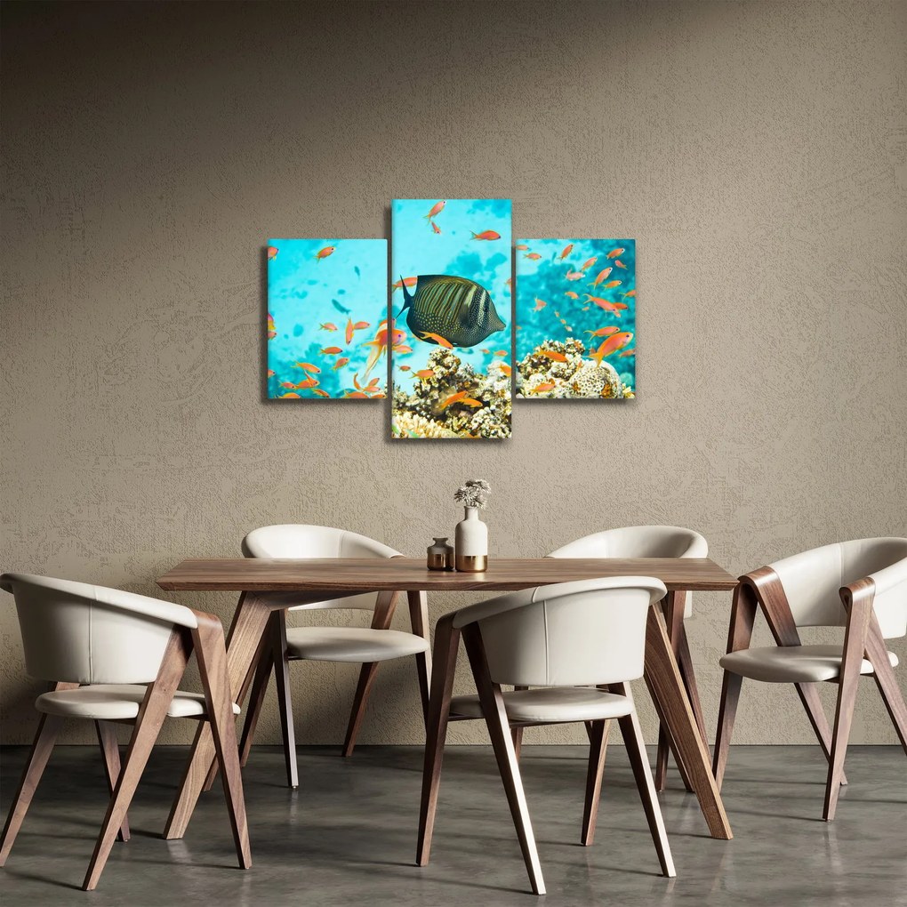 Obraz podmorského sveta (90x60 cm)