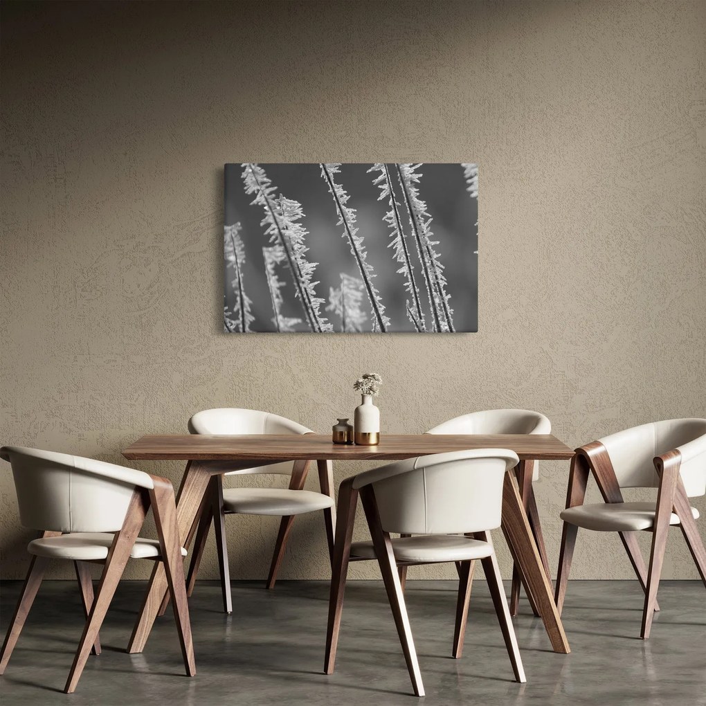 Obraz - Mrazivá zima (90x60 cm)