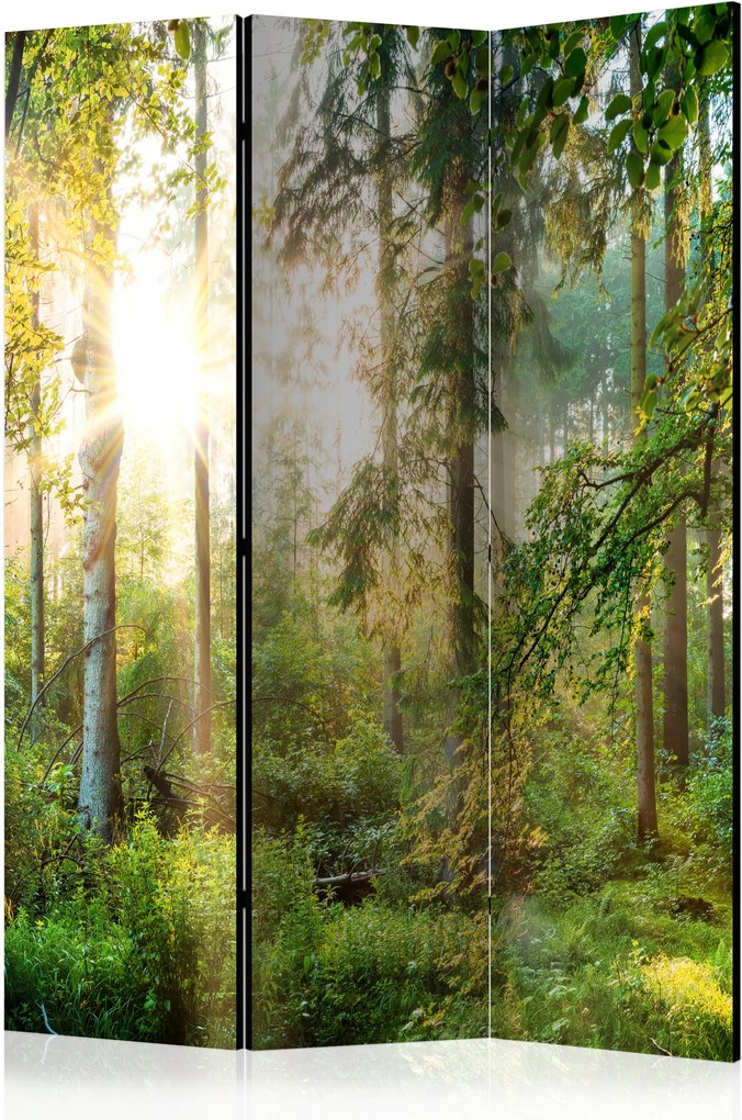 Paraván - Untamed Nature [Room Dividers] 135x172