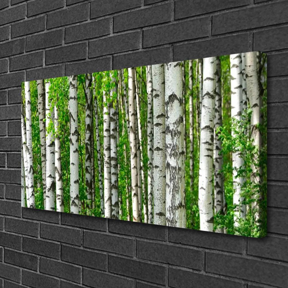 Obraz Canvas Les rastlina príroda 140x70 cm