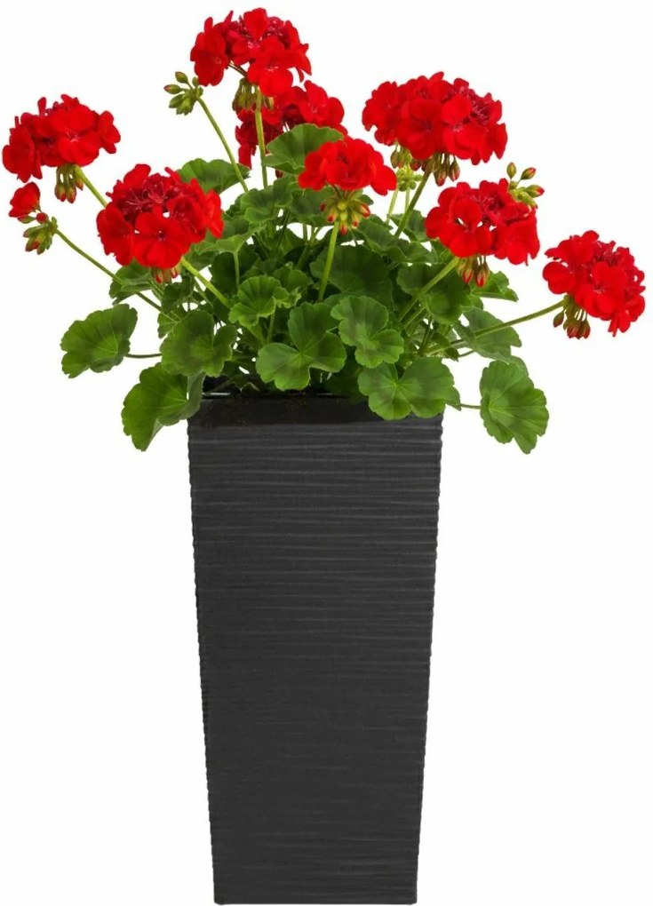 PLASTOVÝ KVETINÁČ PORTO RIFLO 36X19X19 CM ČIERNA