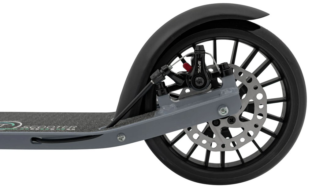 Kolobežka SPORTRIKE ZSP.QZ-2033 strieborná