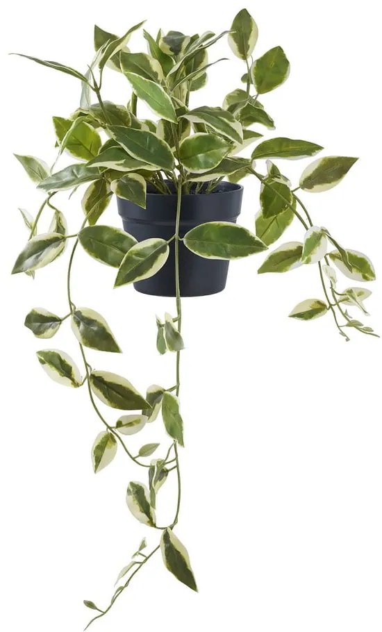 Umelá rastlina (výška 33 cm) Hoya Carnosa – House Nordic