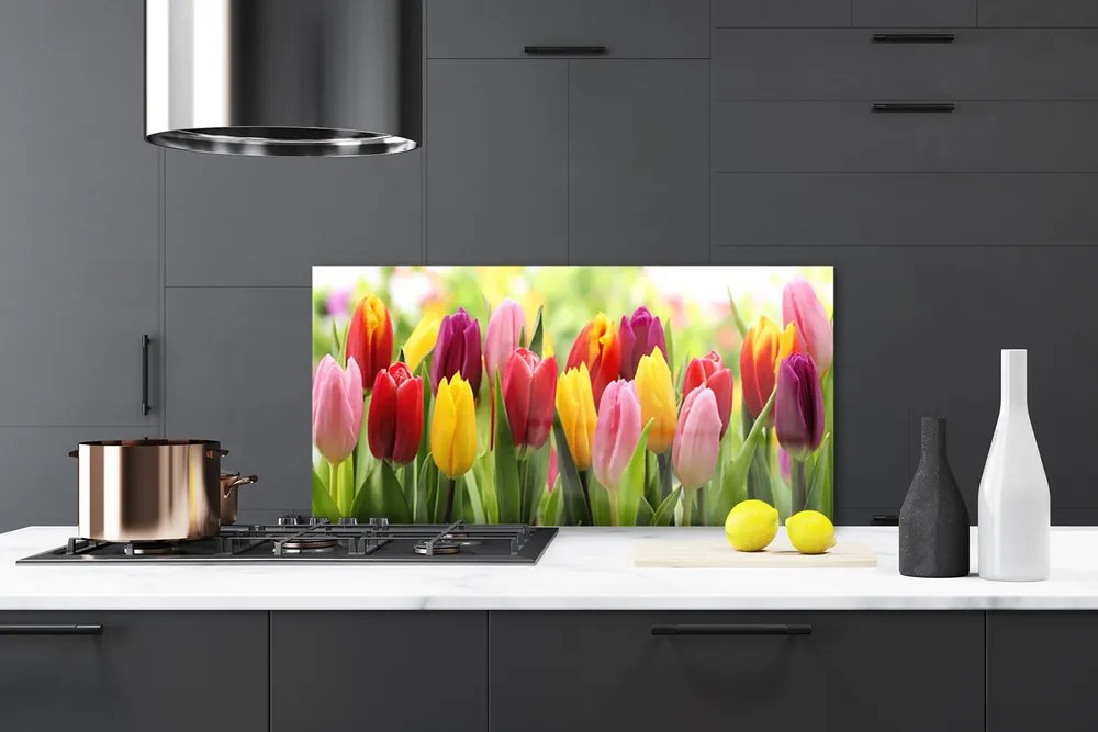 Sklenený obklad Do kuchyne Tulipány kvety príroda 125x50 cm