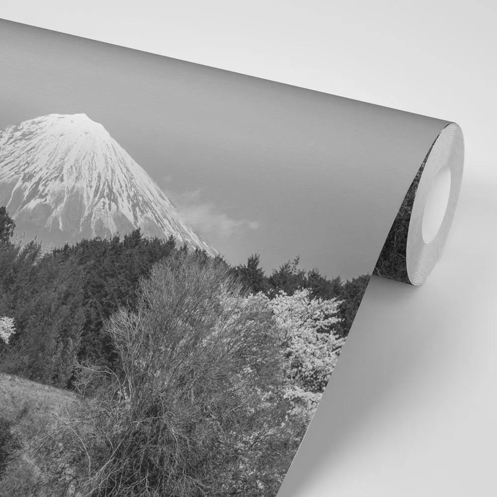 Fototapeta hora Fuji v čiernobielom - 225x150