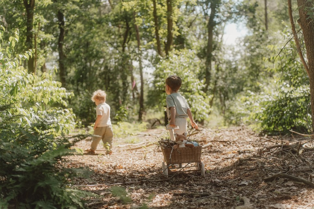 Líška plyšová Forest Friends