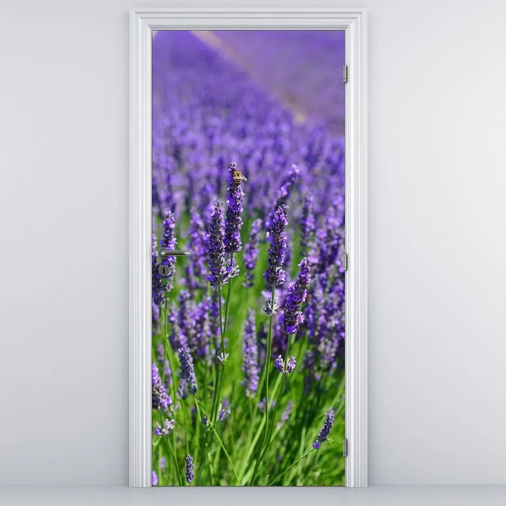 Fototapeta na dvere - Levanduľa (95x205cm)