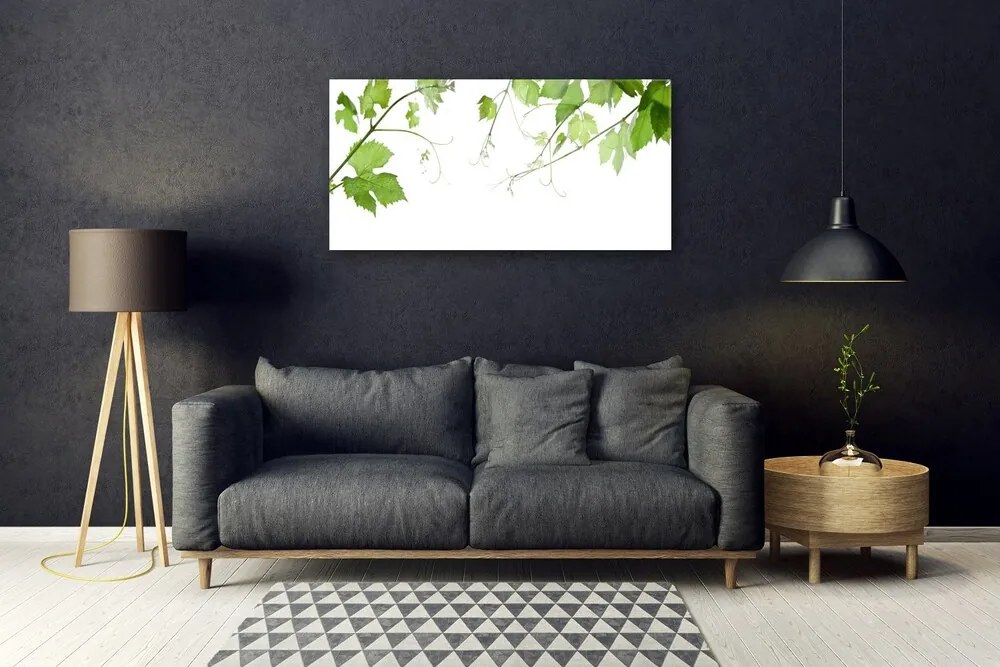 Skleneny obraz Vetvy listy príroda kvety 125x50 cm