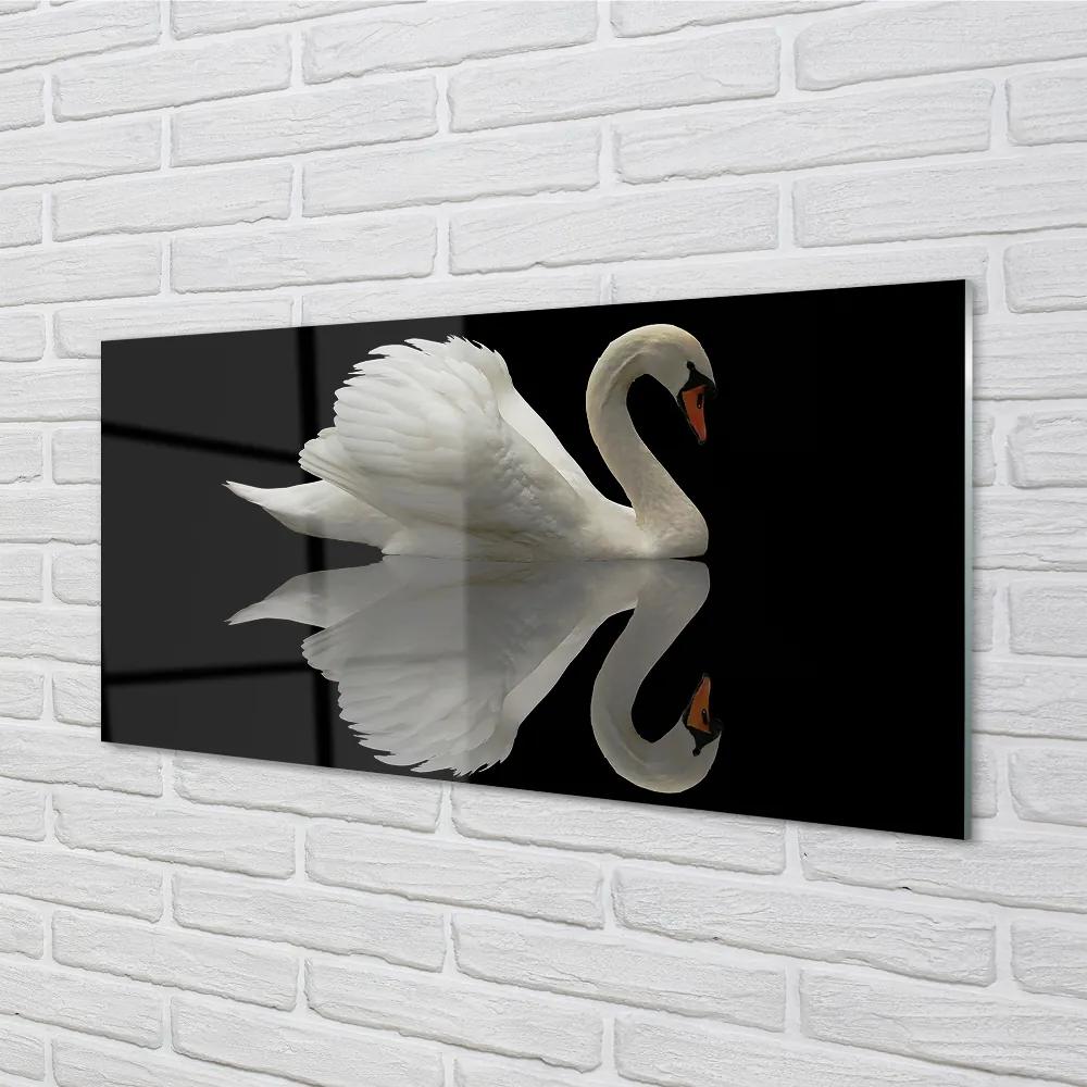 Nástenný panel  Swan v noci 120x60 cm