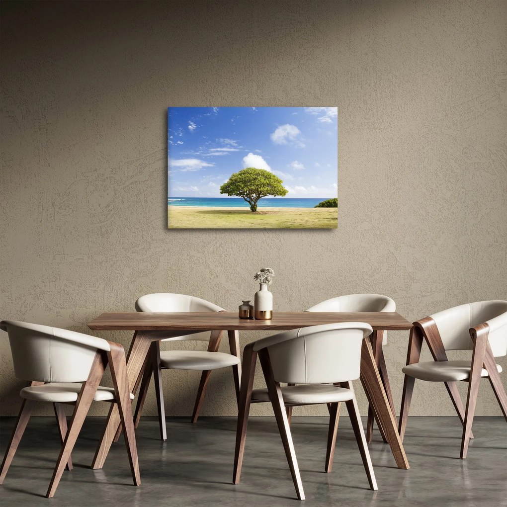 Obraz pláže so stromom (70x50 cm)