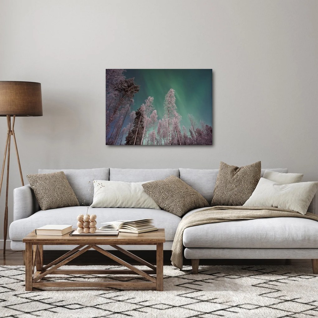 Obraz polárna žiara nad zamrznutými stromami (70x50 cm)