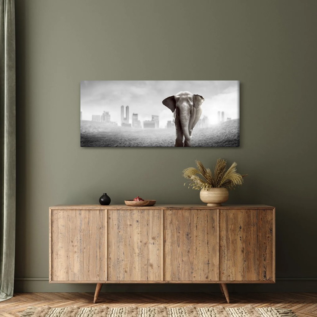 Obraz - Sloník vo veľkomeste, čiernobiely variant (120x50 cm)