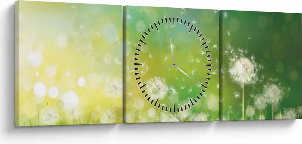 Obraz - Odkvitnuté púpavy (s hodinami) (90x30 cm)