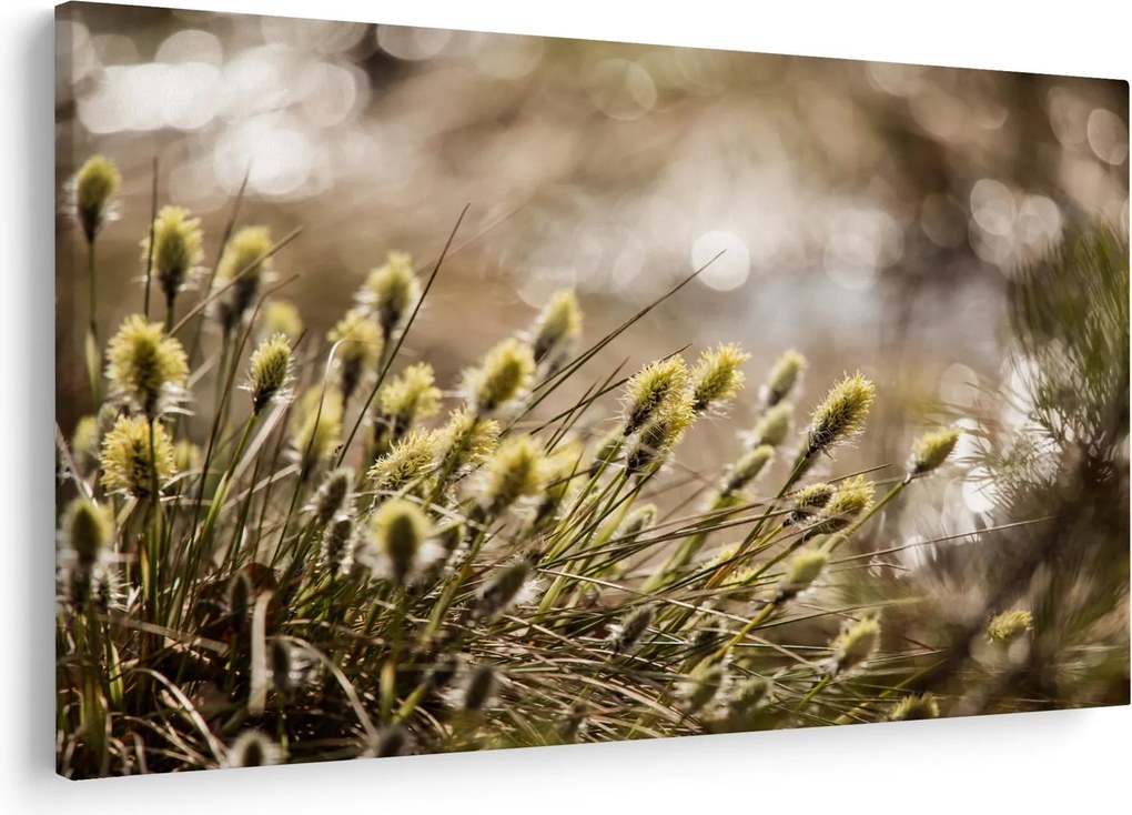 Obraz - Zeleň (90x60 cm)