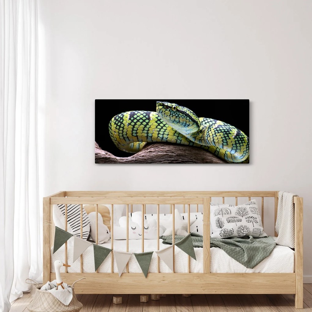 Obraz - Štrkáč Waglerov (120x50 cm)