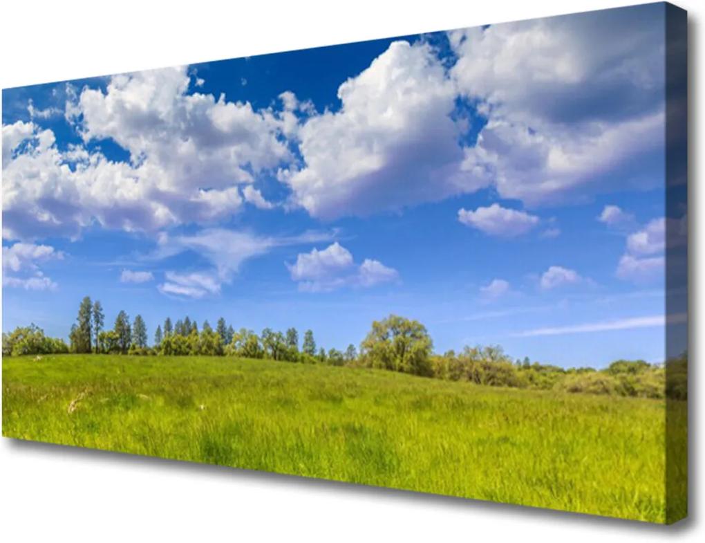 Obraz Canvas Lúka tráva nebo krajina