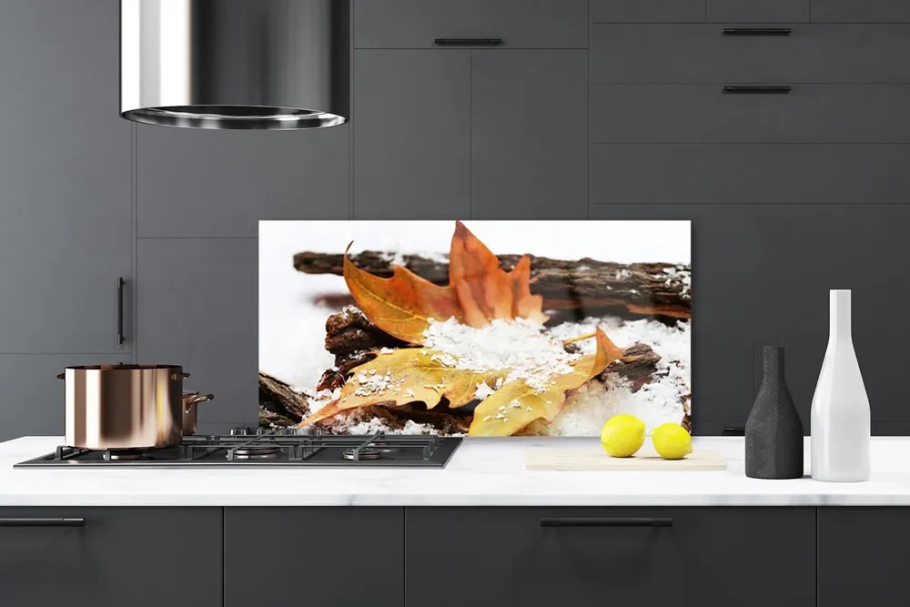 Sklenený obklad Do kuchyne List les jeseň príroda 100x50 cm