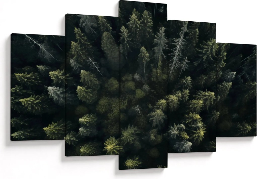 Obraz - Les (150x105 cm)