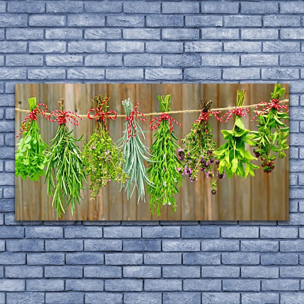 Obraz plexi Sušené byliny listy príroda 120x60 cm