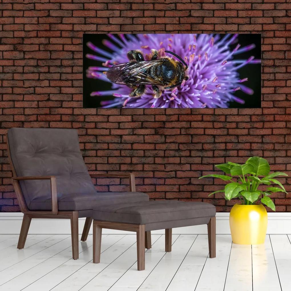 Obraz včely na kvetine (120x50 cm)