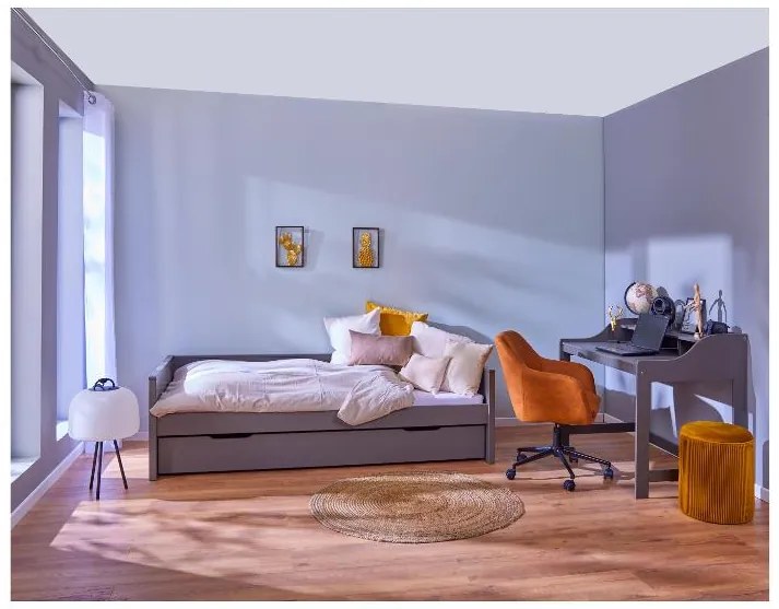 Inter Link Detská výsuvná posteľ Dream the Future, 90 x 200 cm (sivá)  (100394227)