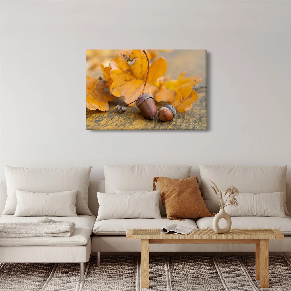 Obraz - Jesenné žalude (90x60 cm)