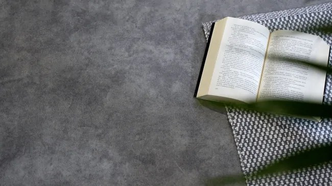 PVC podlaha Viva Prato S93 sivá