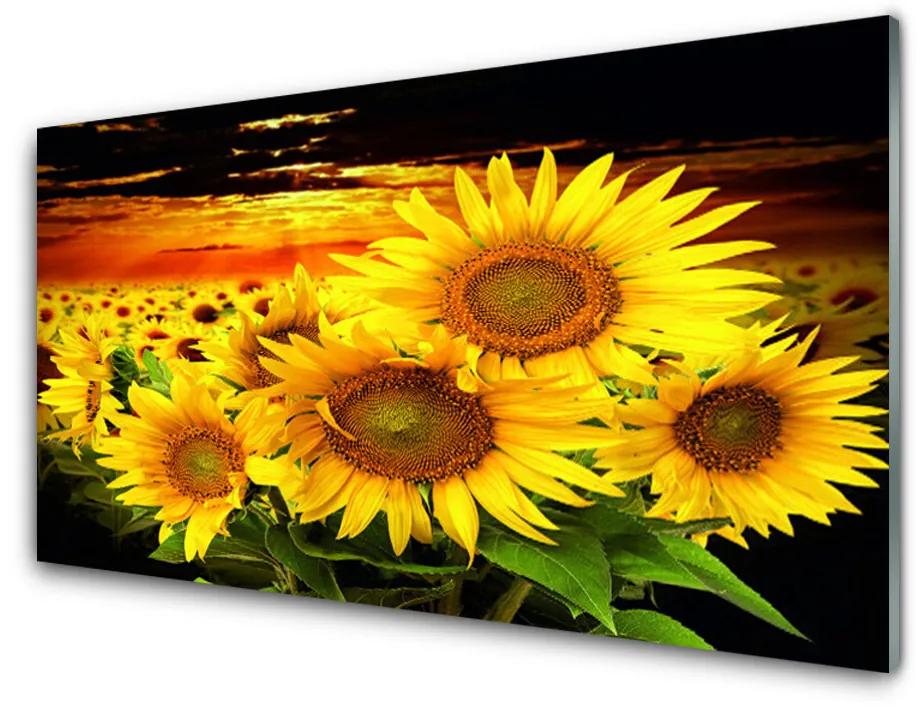 Sklenený obklad Do kuchyne Slnečnica kvet rastlina 120x60 cm