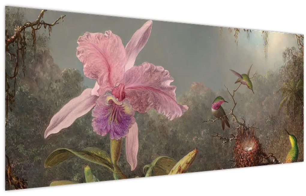 Obraz - Martin Johnson Heade, Cattleya Orchid and Three Hummingbirds, reprodukcia (120x50 cm)