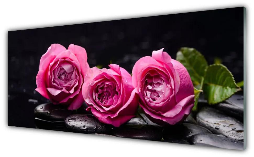 Obraz plexi Ruže kamene zen kúpele príroda 125x50 cm