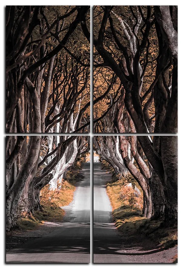 Obraz na plátne - Tmavé ploty v Irsku  - obdĺžnik 7134FD (120x80 cm)