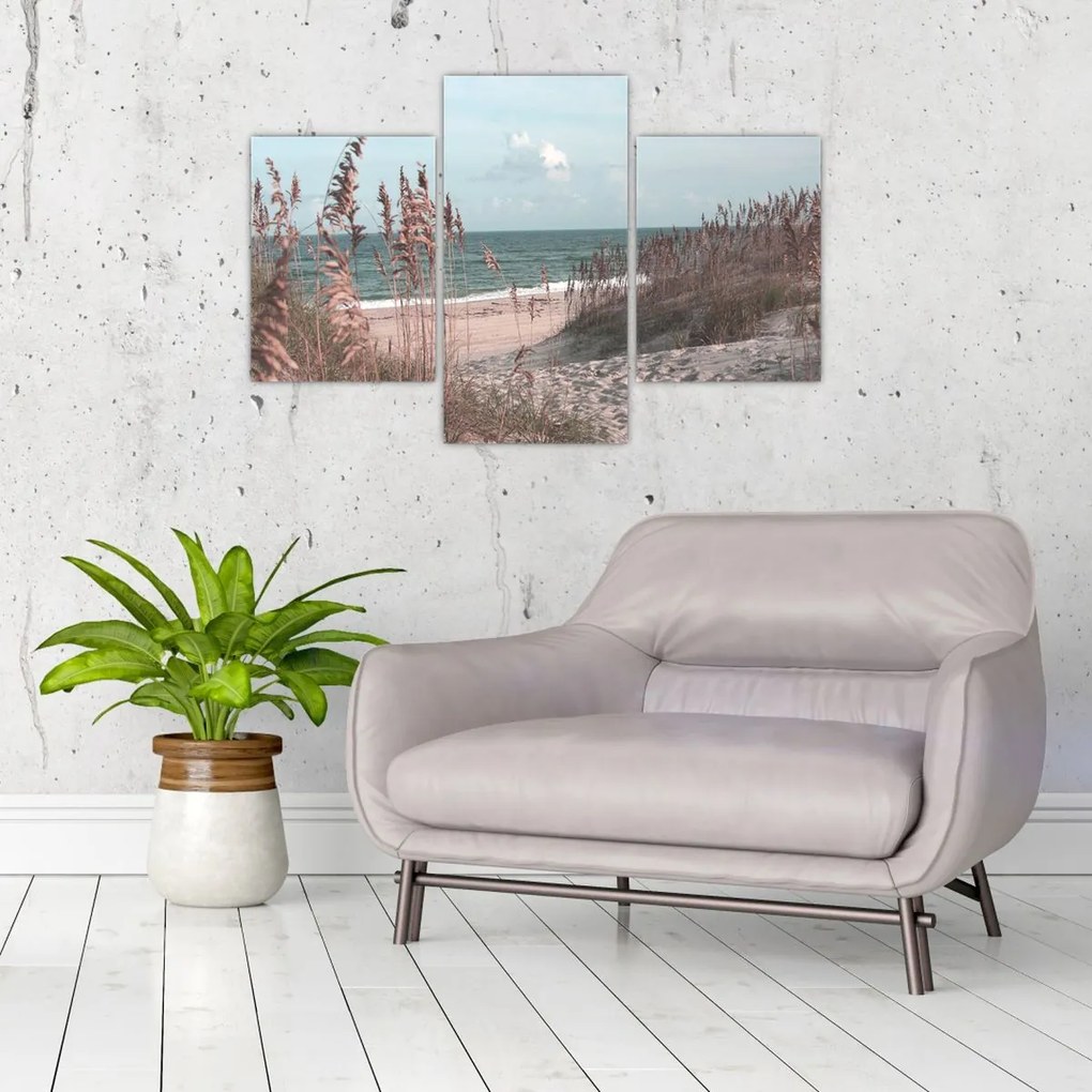 Obraz - Ružová pláž (90x60 cm)