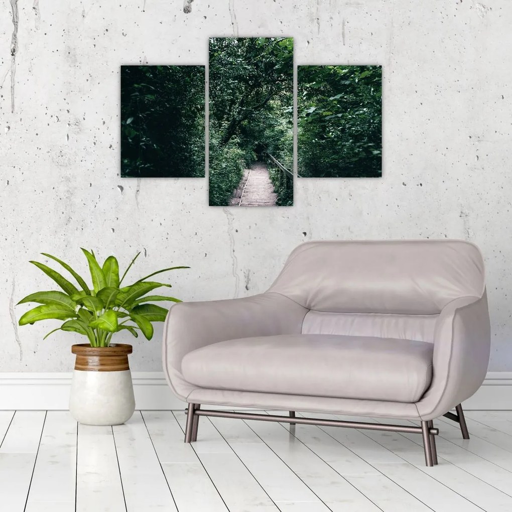 Obraz - Cesta lesom (90x60 cm)