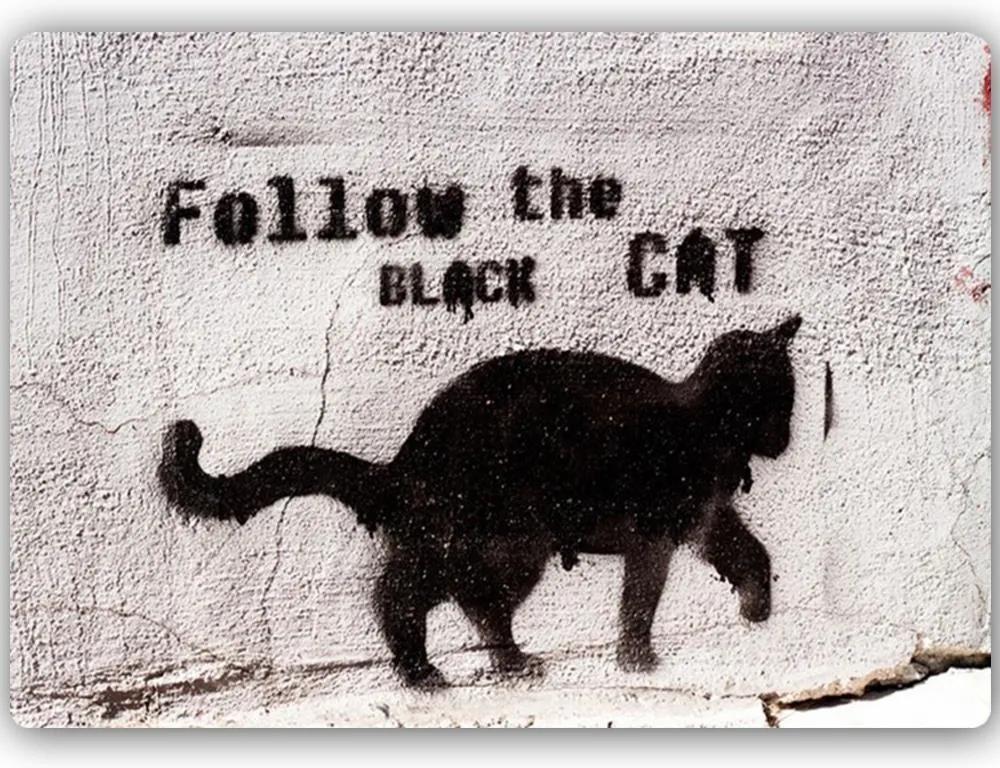 CARO Kovový obraz - Black Cat 40x30 cm