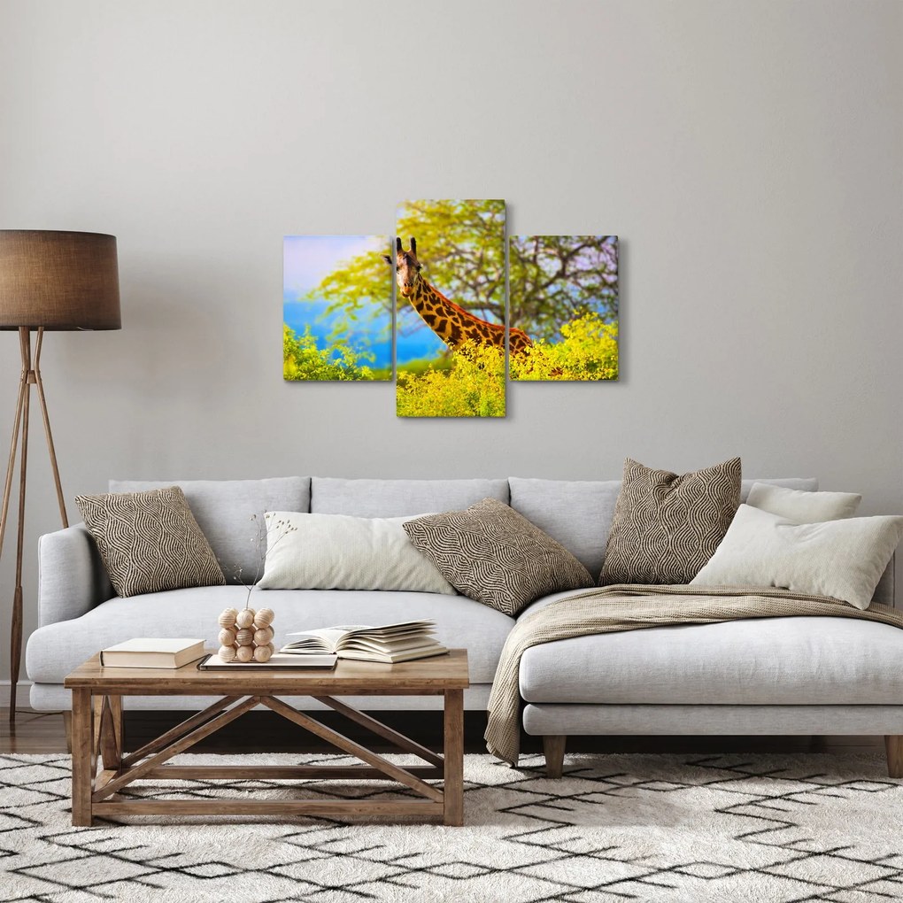 Obraz žirafy v Afrike (90x60 cm)