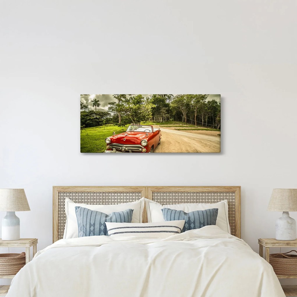 Obraz - auto veterán v prírode (120x50 cm)