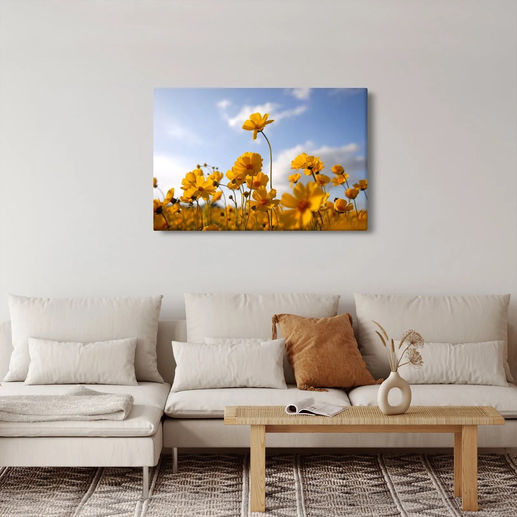 Obraz poľa s jasne žltými kvetmi (90x60 cm)