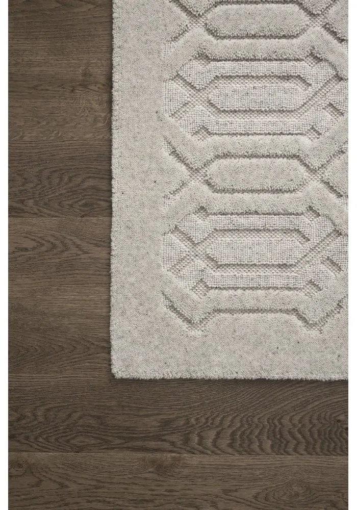 Svetlosivý vlnený koberec 160x230 cm Dive – Agnella