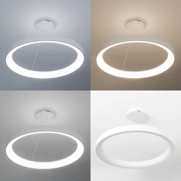 Brilagi - LED stmievateľný luster FALCON II LED/108W/230V 3000-6500K pr. 80 cm biela + diaľkové ovládanie