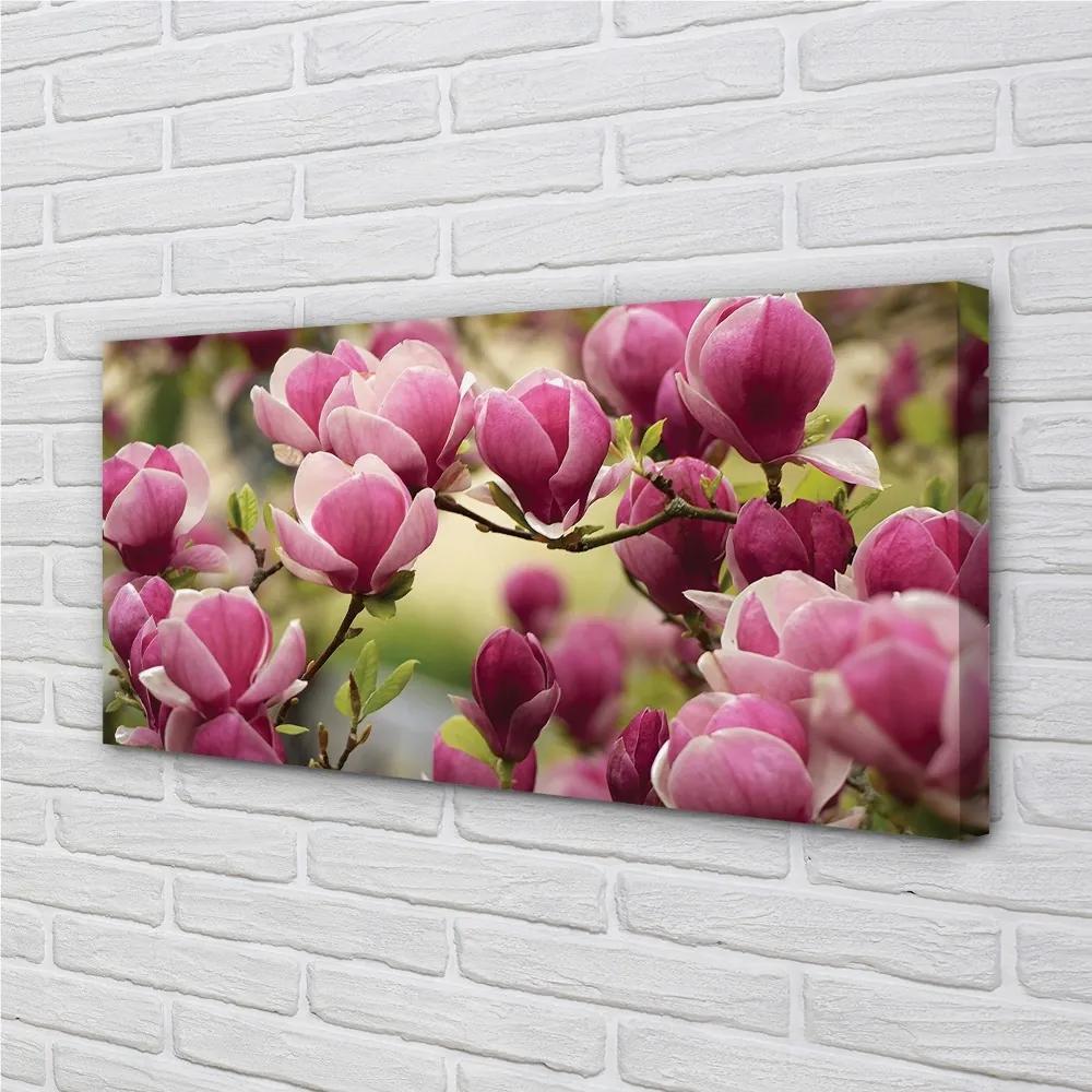 Obraz canvas kvety 125x50 cm