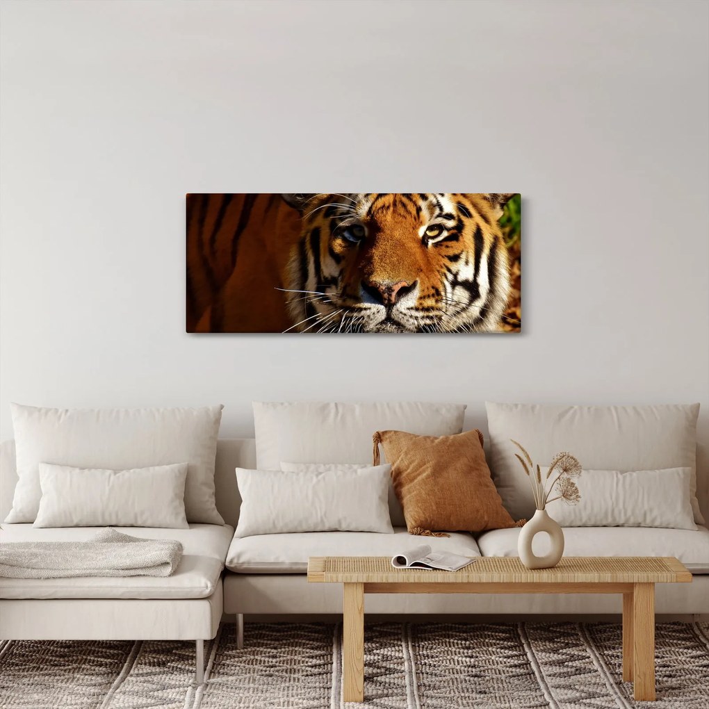 Obraz tigra (120x50 cm)