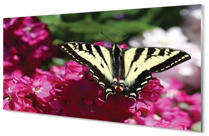 Sklenený obraz kvety motýľ 100x50 cm