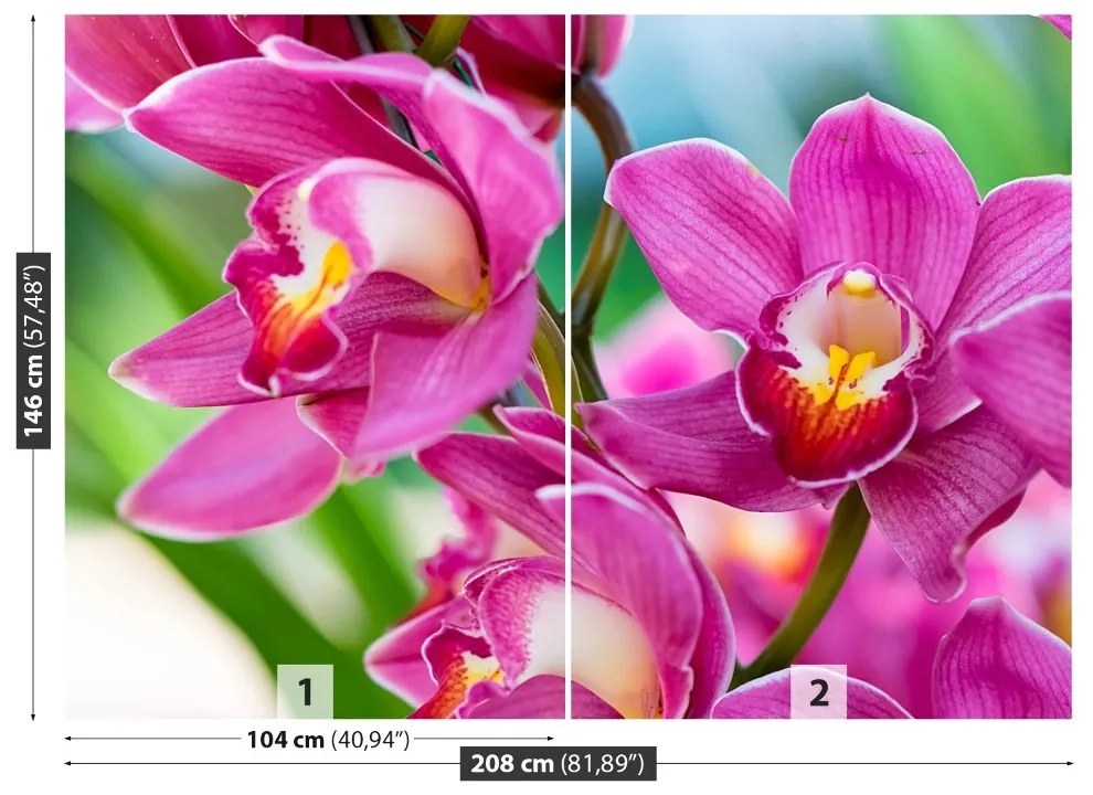 Fototapeta Vliesová Ružové orchidey 104x70 cm