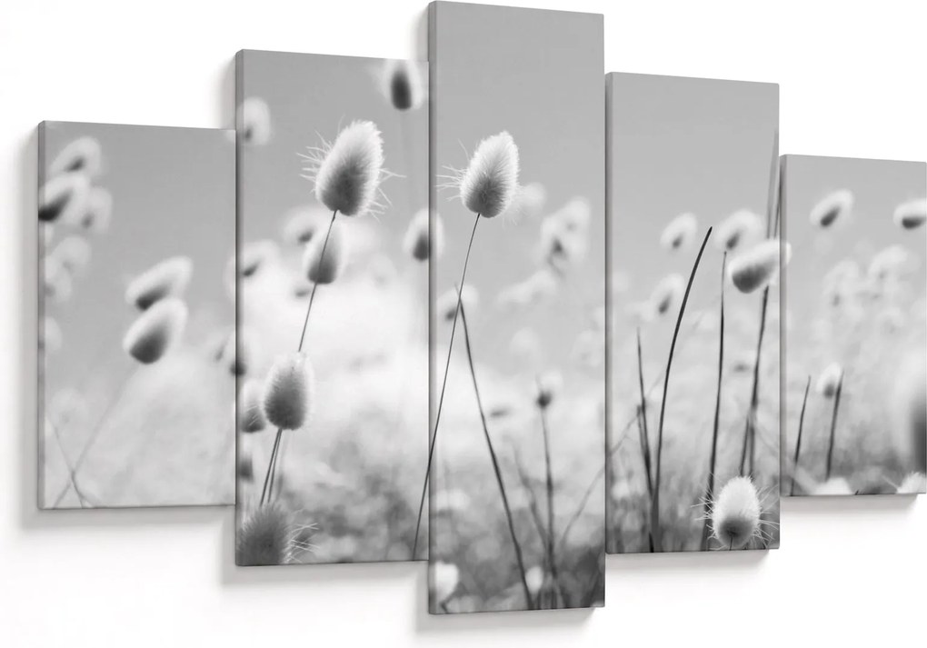 Obraz - Boho bunny tail grass (150x105 cm)