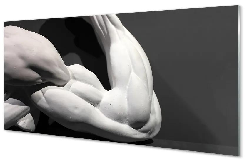 Obraz na skle Sval black and white 120x60 cm
