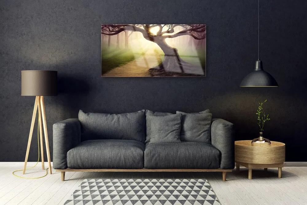 Skleneny obraz Strom lúče slnko 140x70 cm