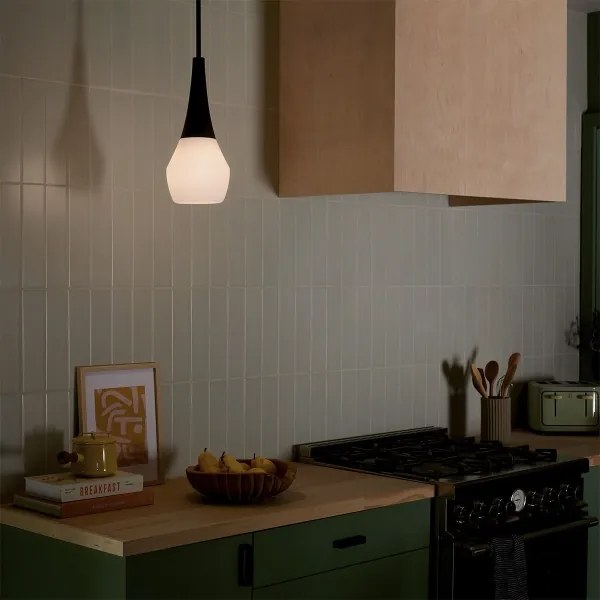 Kichler KL-DEELA-P-BK - Závesné svietidlo na tyči DEELA 1xE27/60W/230V priemer 17,8 cm čierna