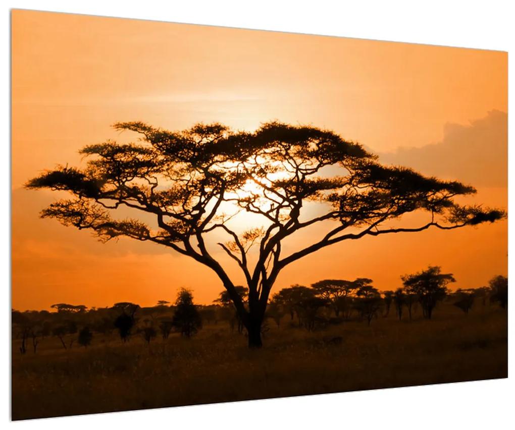 Obraz africkej savany (90x60 cm)