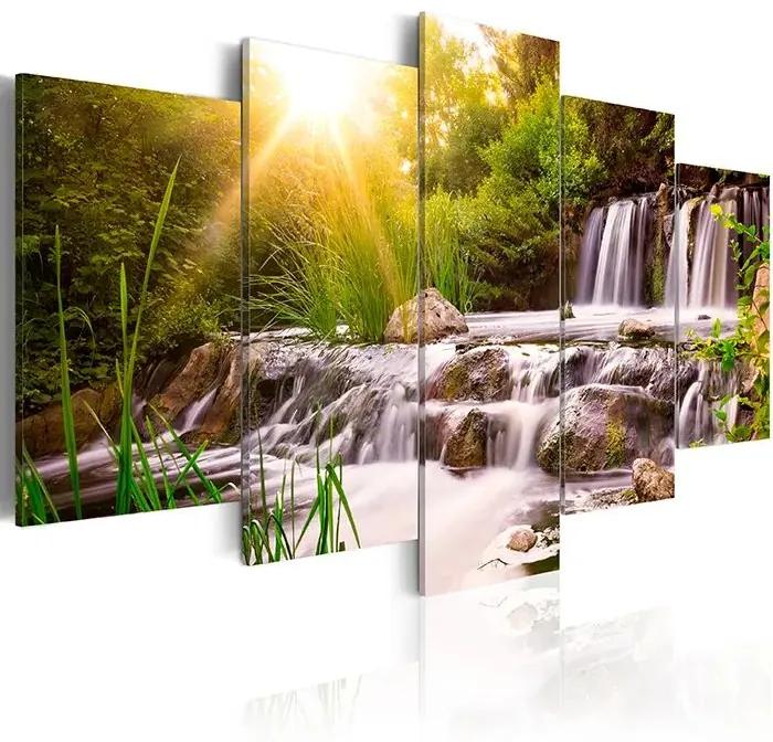 Obraz - Forest Waterfall Veľkosť: 100x50, Verzia: Na talianskom plátne